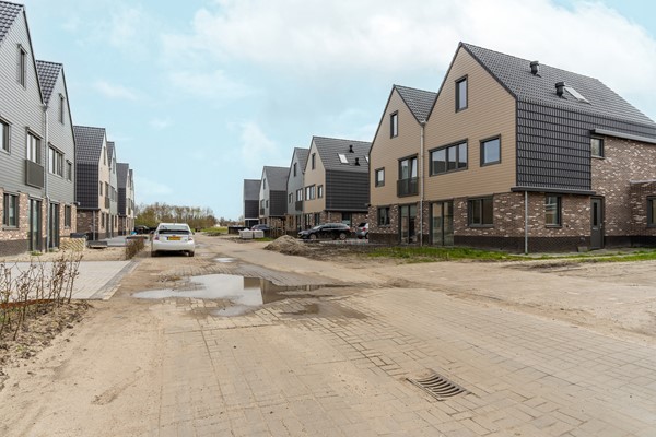 06-Moerasorchidee 13 - Lelystad.jpg